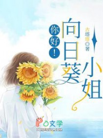 你好!向日葵小姐 你好!向日葵小姐