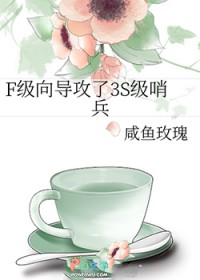 F级向导攻了3S级哨兵 F级向导攻了3S级哨兵