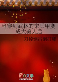 当穿到武林的宋兵甲变成大美人后 当穿到武林的宋兵甲变成大美人后