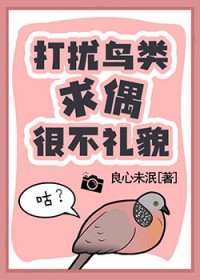 打扰鸟类求偶很不礼貌 打扰鸟类求偶很不礼貌