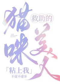 救助的猫咪美人粘上我 救助的猫咪美人粘上我