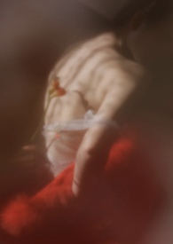 狐狸软木(校园1v1) 狐狸软木(校园1v1)